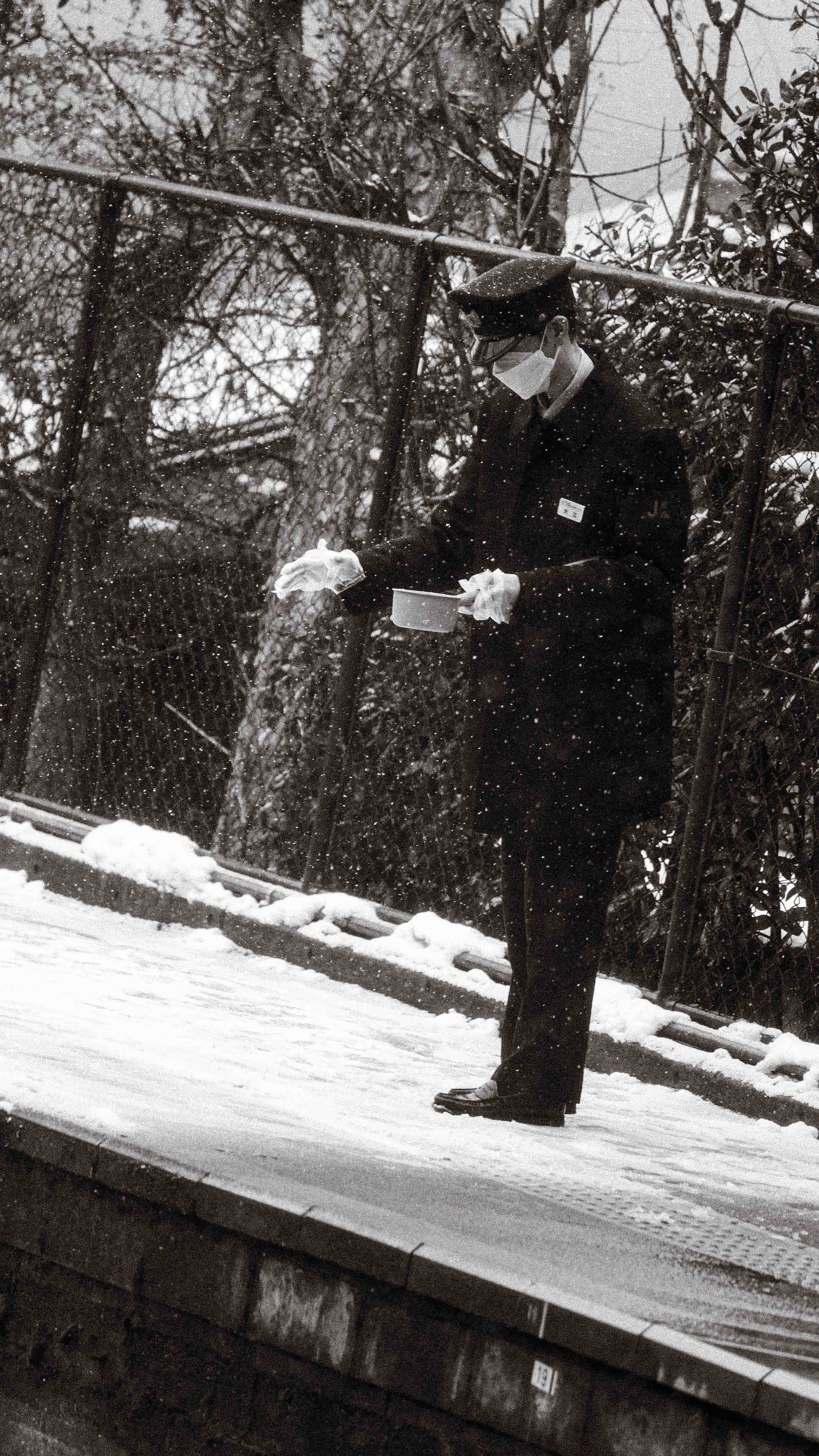 Deer looking at camera